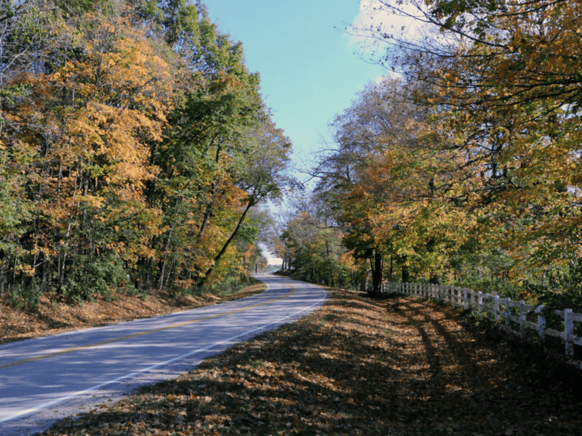 Image of Kane County Il curved road lined with trees