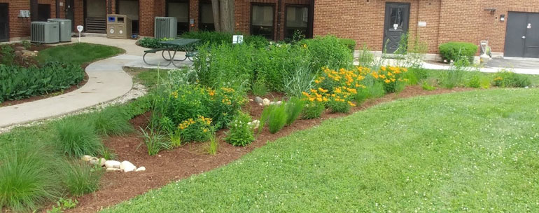 Native Garden Image